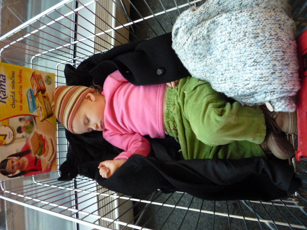 P1010327.JPG