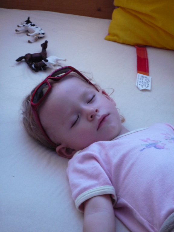 P1000840.JPG