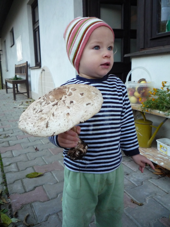 P1000887.JPG
